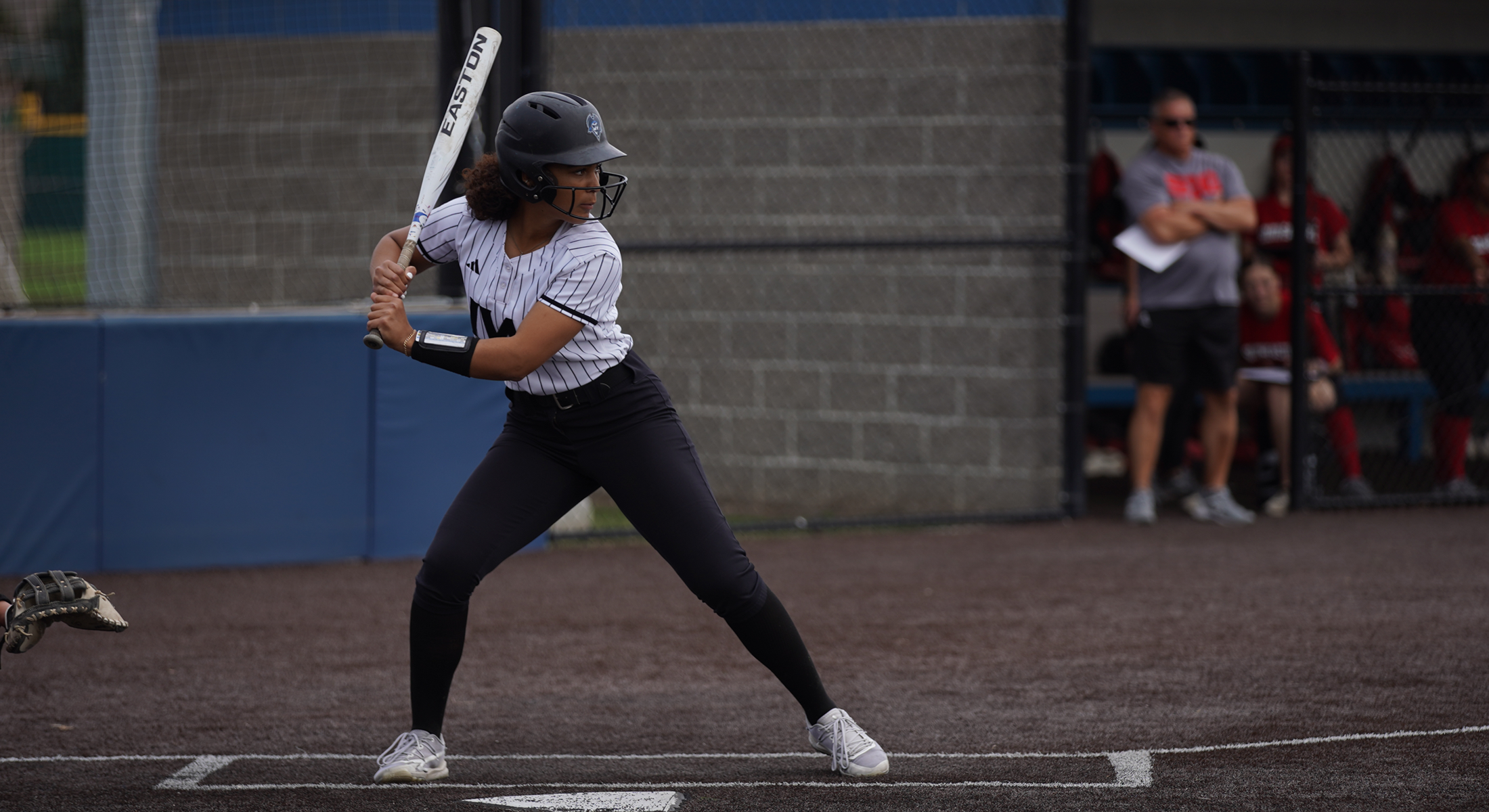 Reivers Split with Southeastern