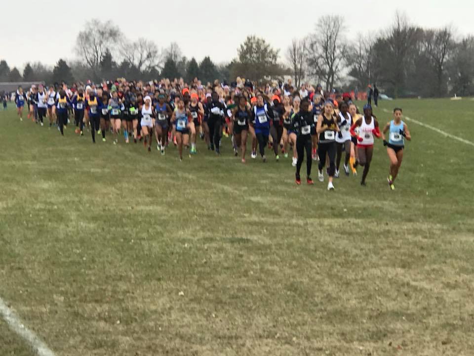 Women's Cross Country finishes 12th at NJCAA National Championships